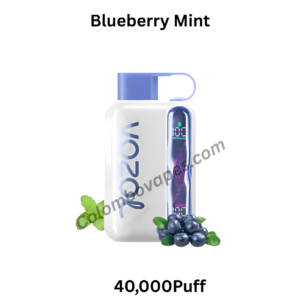 Vozol Star Blueberry Mint 40000Puff
