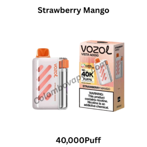 Vozol Vista Strawberry Mango 40000Puff