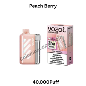 Vozol Vista Peach Berry 40000Puff