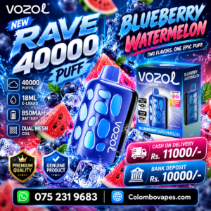 Vozol Rave Blueberry Watermelon  40000Puff