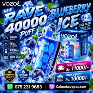 Vozol Rave Blueberry Ice 40000Puff